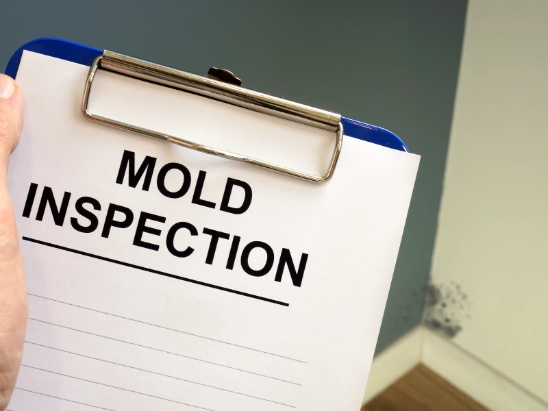 Hand holding a clipboard with "MOLD INSPECTION" paper near a corner with visible mold on the wall.