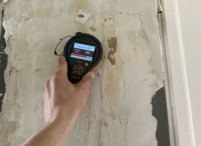 Mold testing with a meter