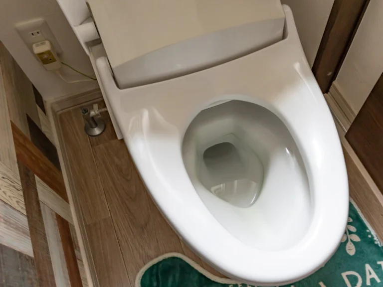 White toilet bowl with open lid on wooden floor and green bath mat nearby.