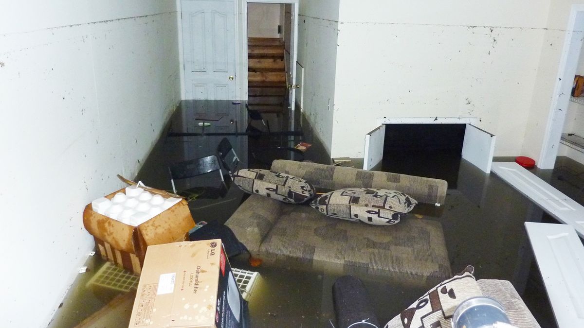 Top 10 Causes of Basement Flooding and How to Prevent It | Xpert ...